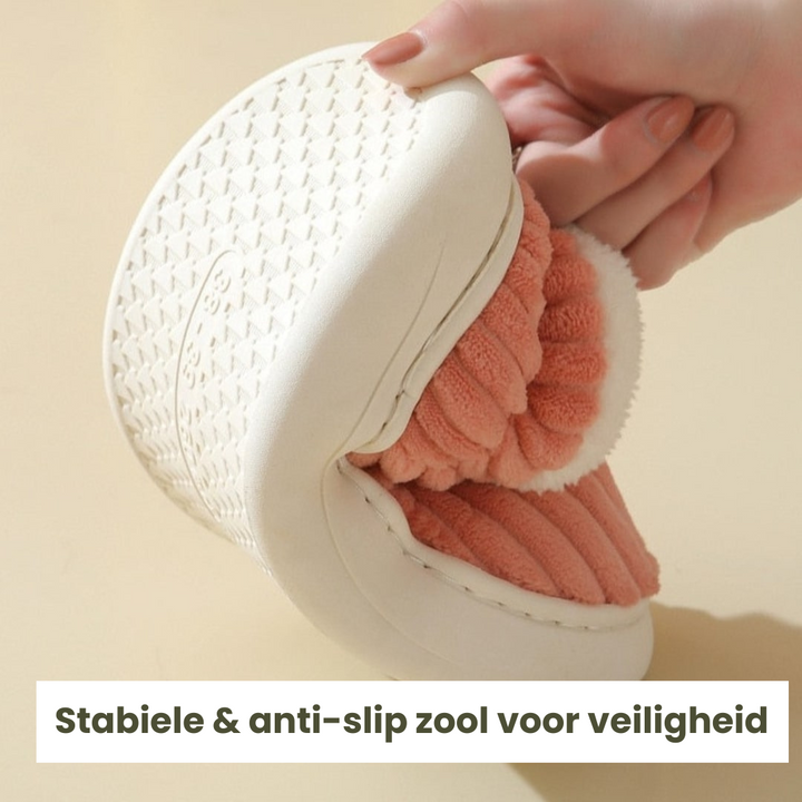 Vernier™ | CloudSteps
