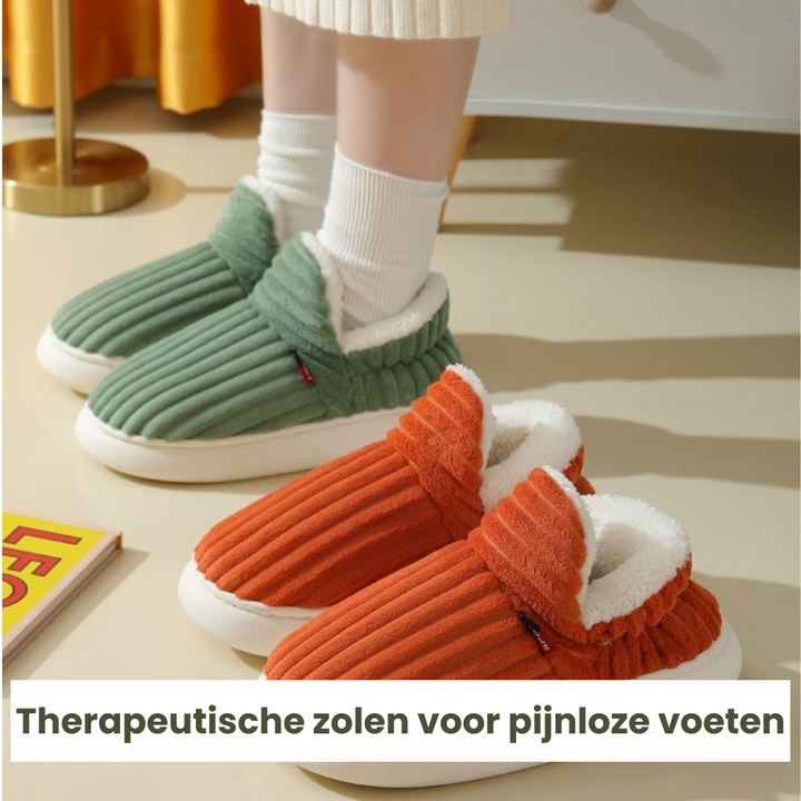 Vernier™ | CloudSteps