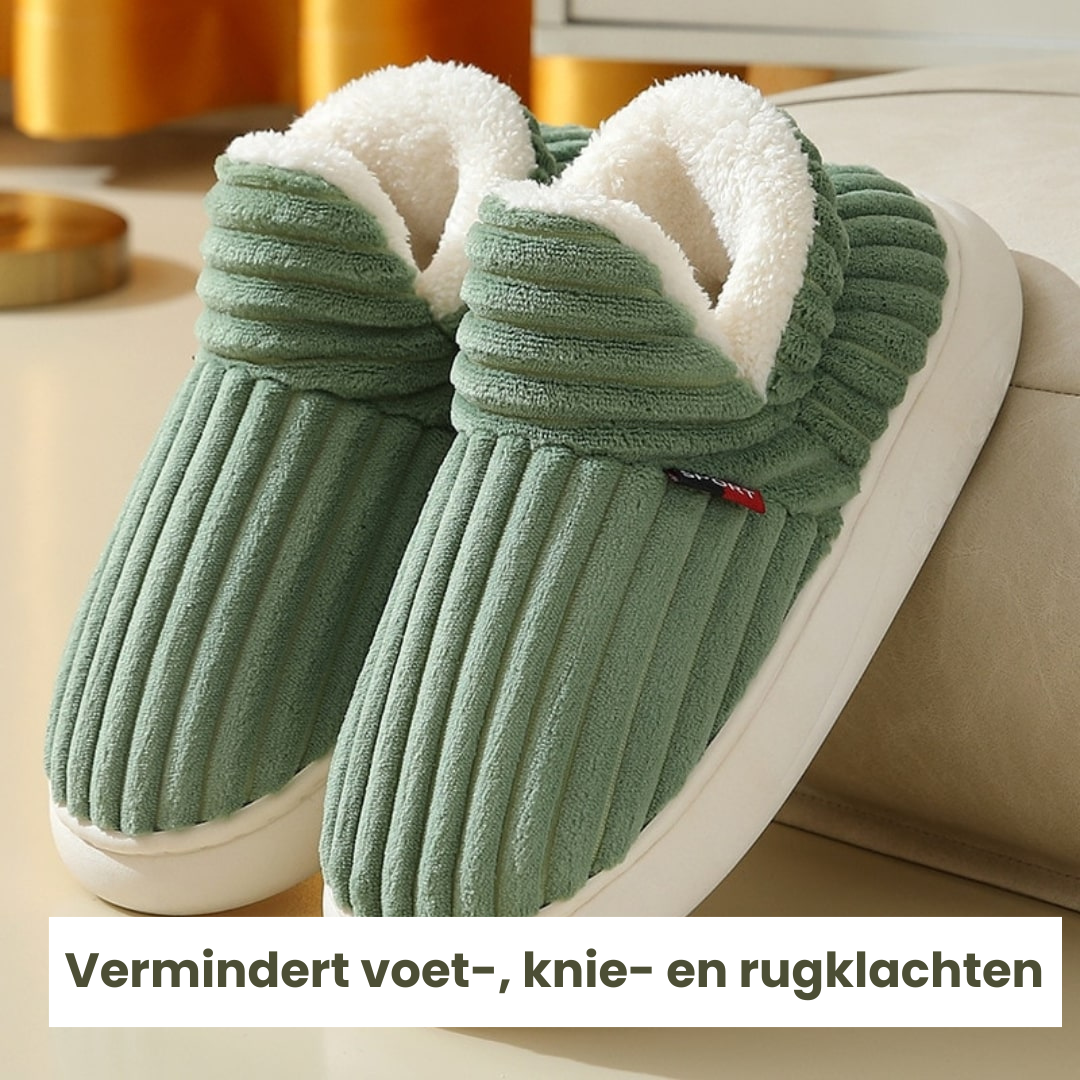 Vernier™ | CloudSteps